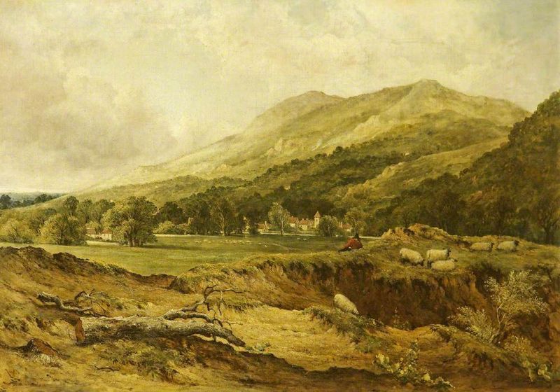 A View in Radnorshire