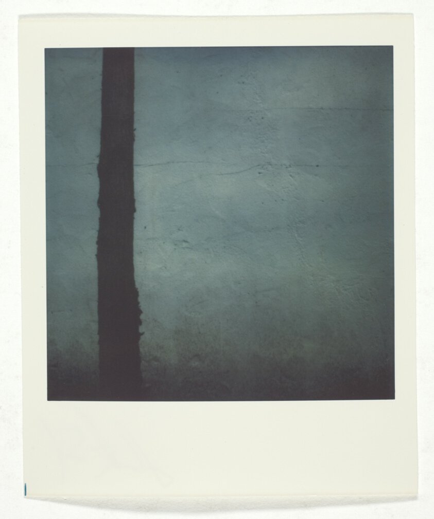 Untitled by Jack Sal