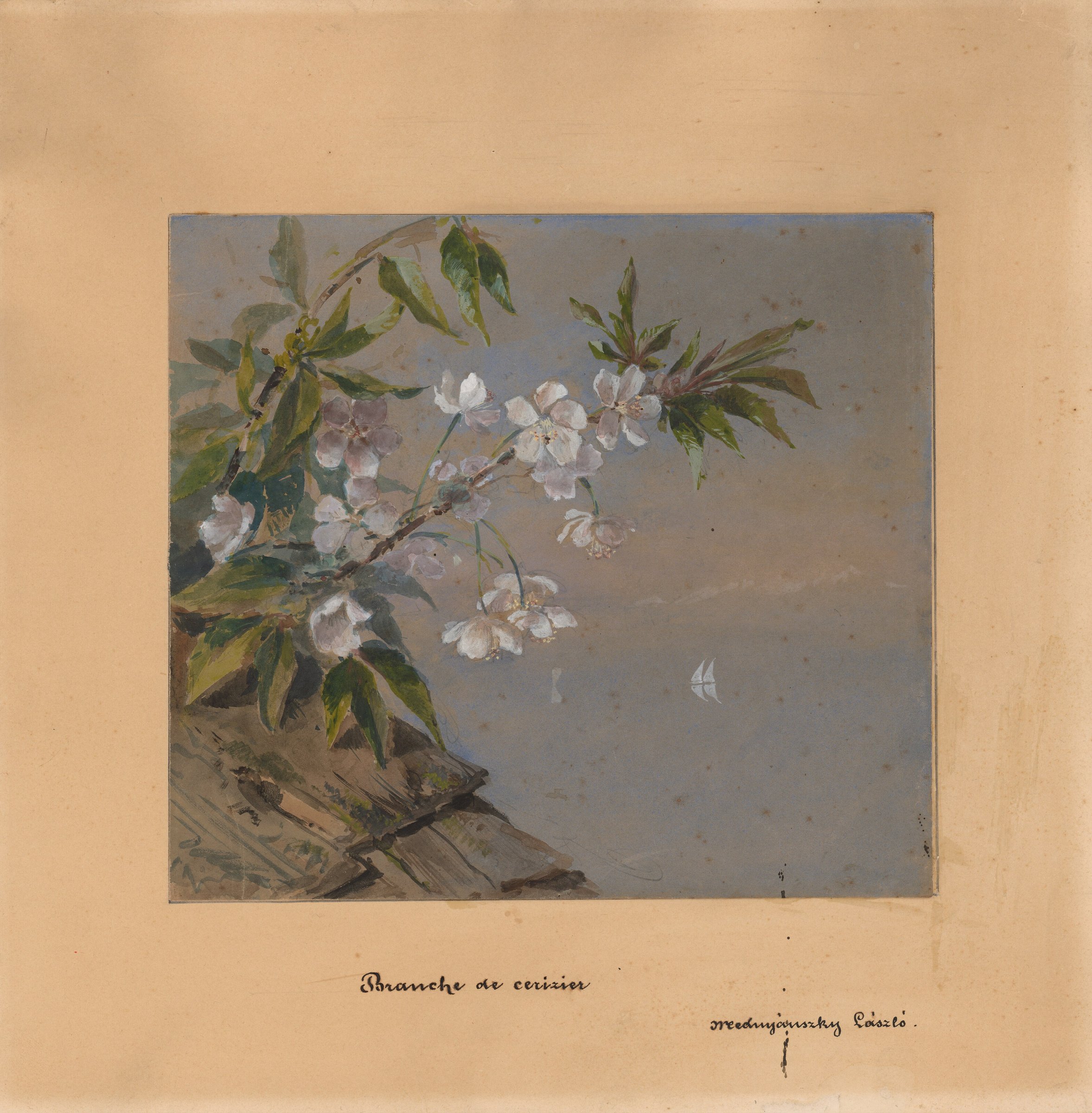 Cherry Flower Twig by László Mednyánszky
