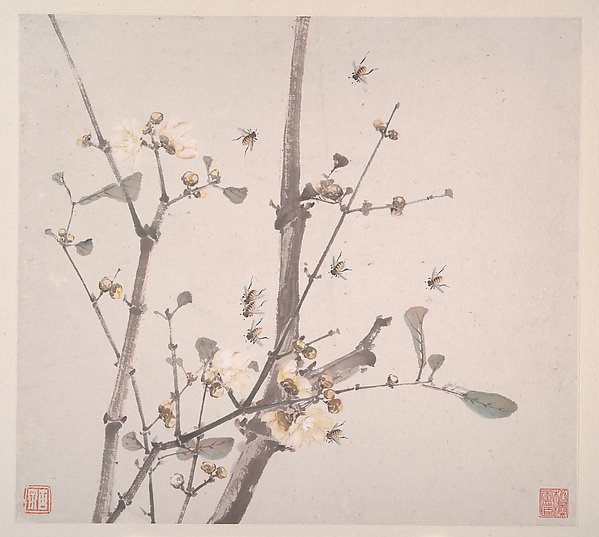 清 居廉 花卉蟲草 冊頁 八開|Insects and Flowers by Ju Lian