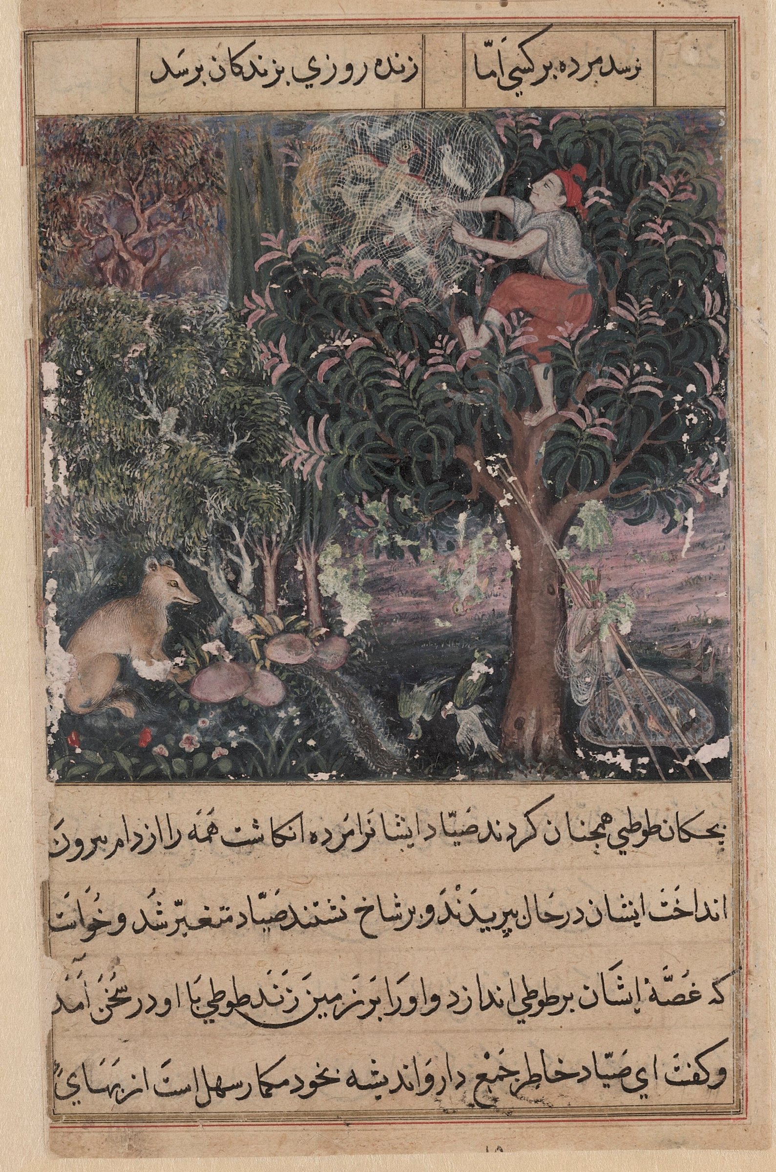 The hunter throws away the baby parrots, who pretend to be dead, and captures the mother, from a Tuti-nama (Tales of a Parrot): Fifth Night by Basawan