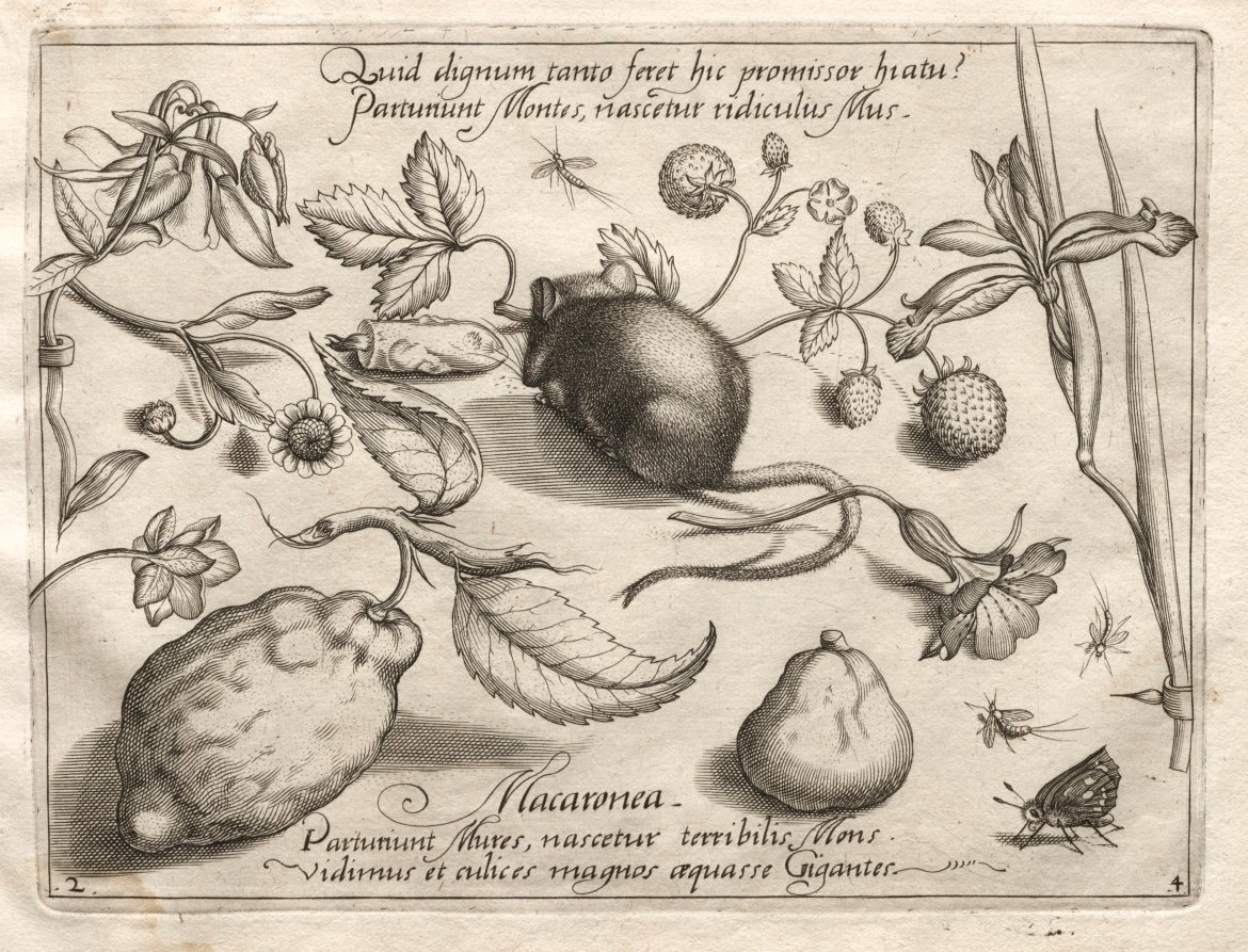 Archetypes and Studies: What can emerge in keeping with such a cavernous promise? (Part IV, plate 2) by Joris Hoefnagel