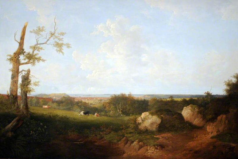 View of Fort Regent from Victoria College