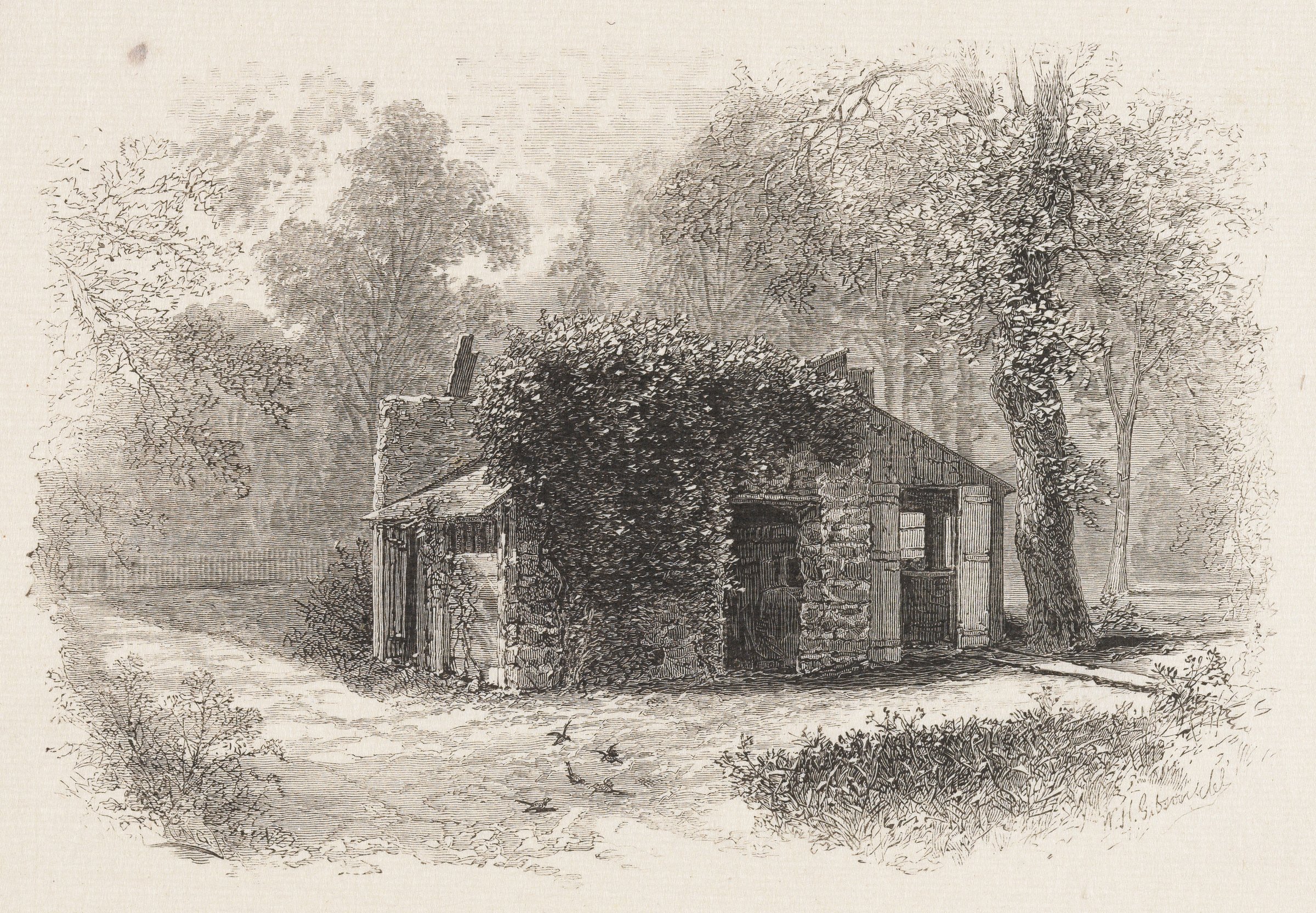 The Cabin by William Hamilton Gibson