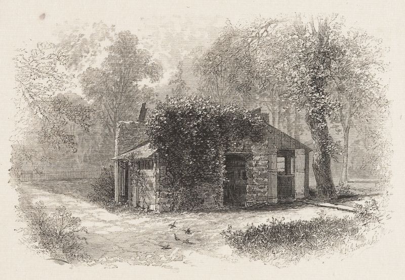 The Cabin