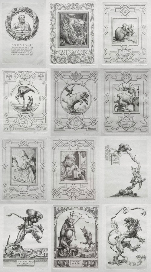 Aesop's Fables by Stephen Gooden