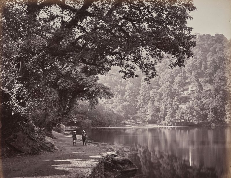 Hyree Lake. South End of the Lake