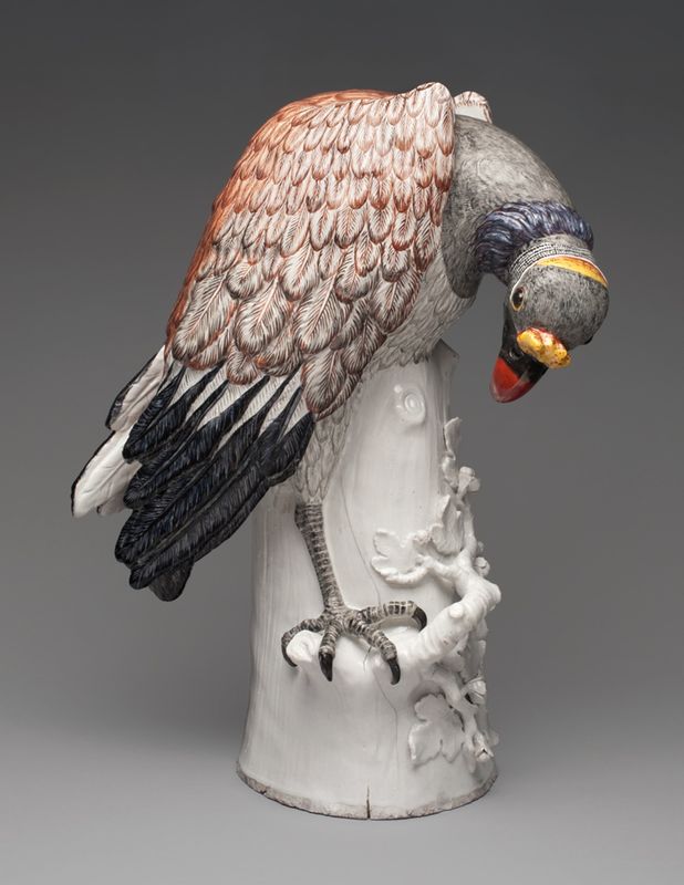 King Vulture