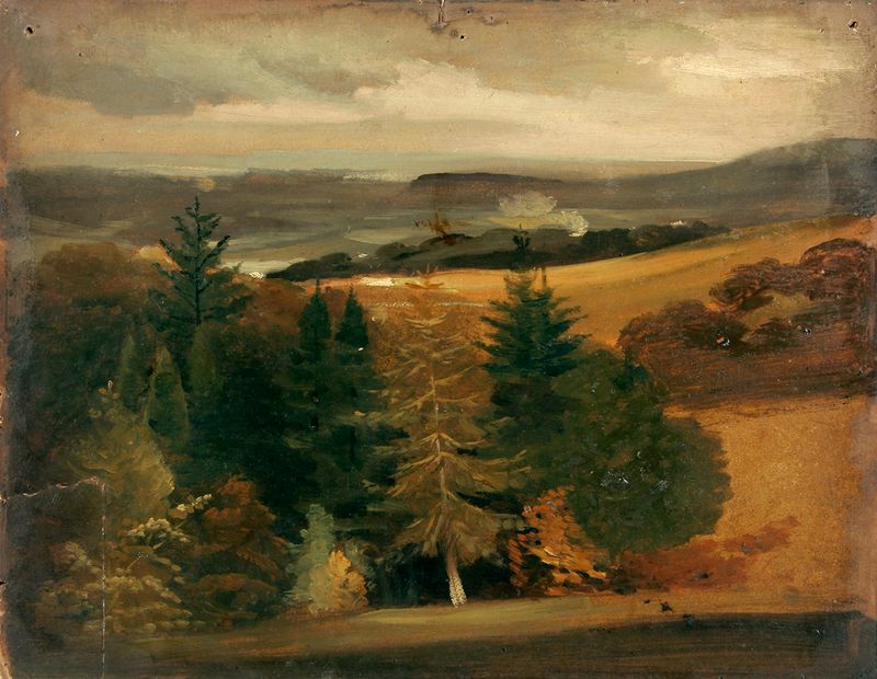Wooded landscape