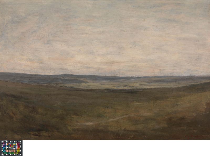 The plains