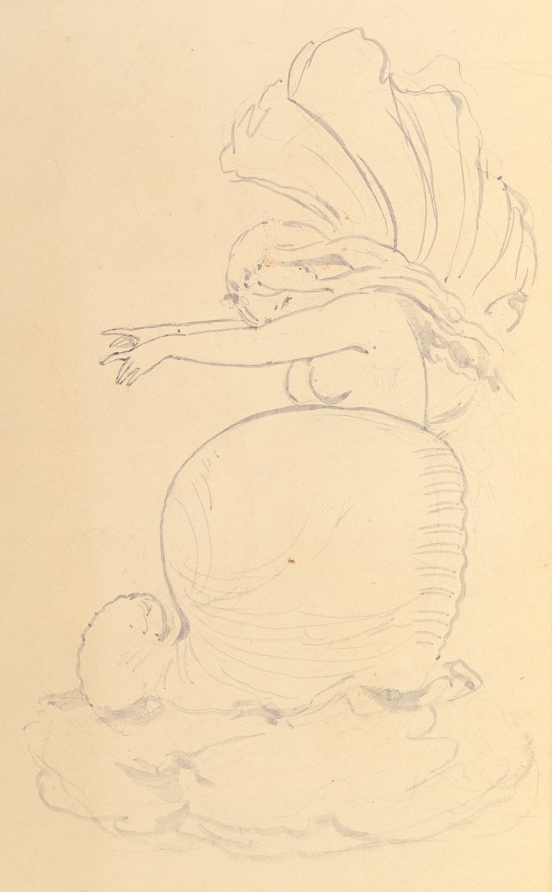 Sketch of a Fairy or Spirit Emerging from a Shell by Samuel Alcock & Company