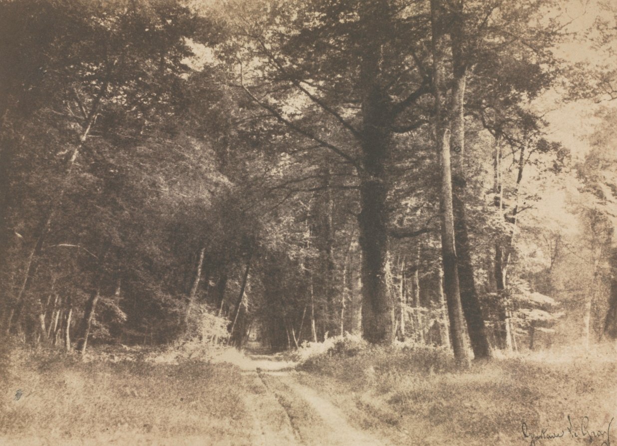 Pathway in the Forest of Fontainebleau by Gustave Le Gray