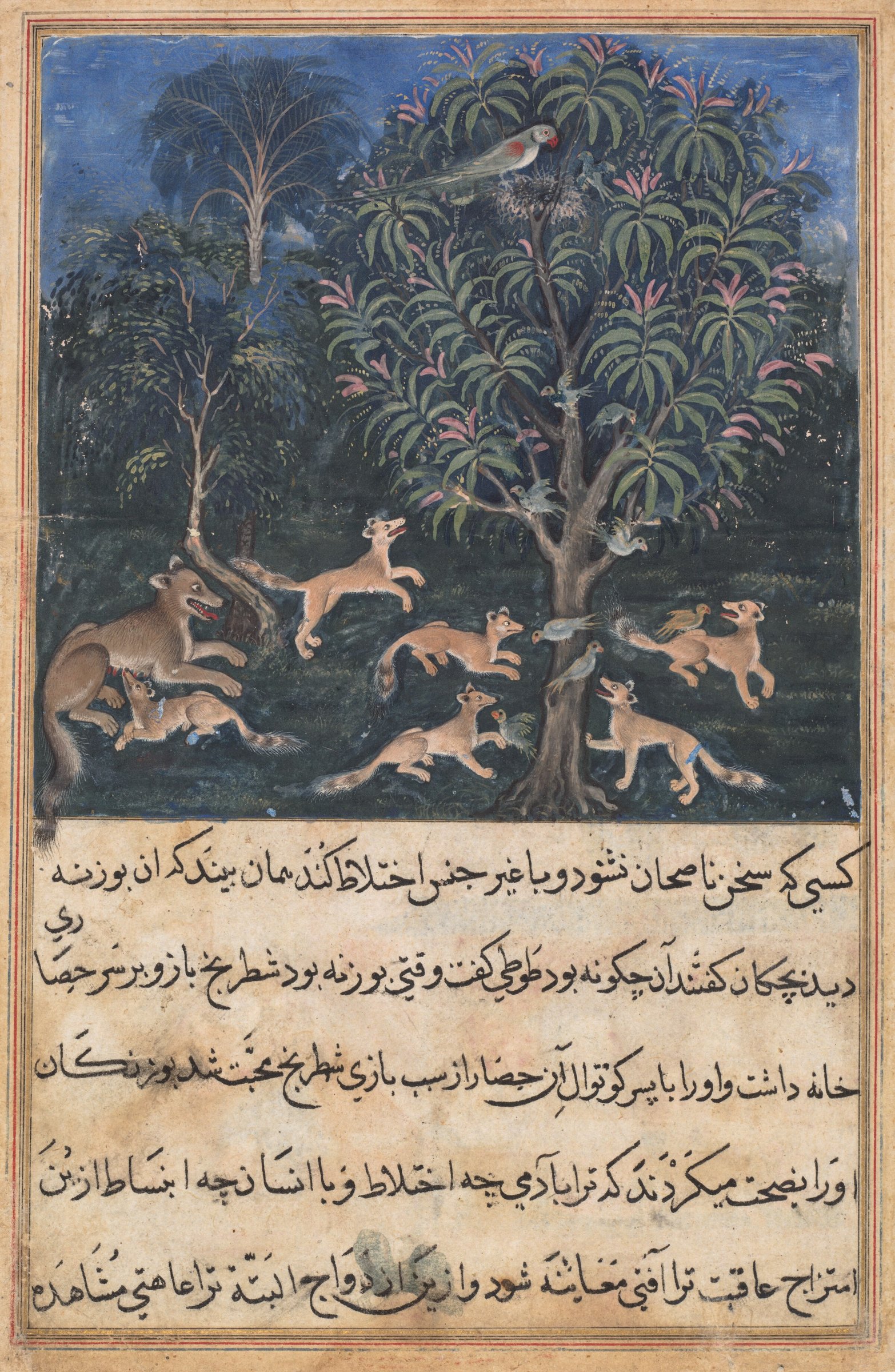 The parrot mother cautions her young on the danger of playing with foxes, from a Tuti-nama (Tales of a Parrot): Fifth Night — 1560
