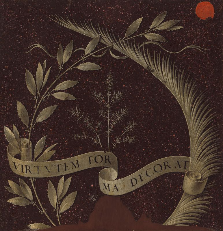 Wreath of Laurel, Palm, and Juniper with a Scroll inscribed Virtutem Forma Decorat [reverse]