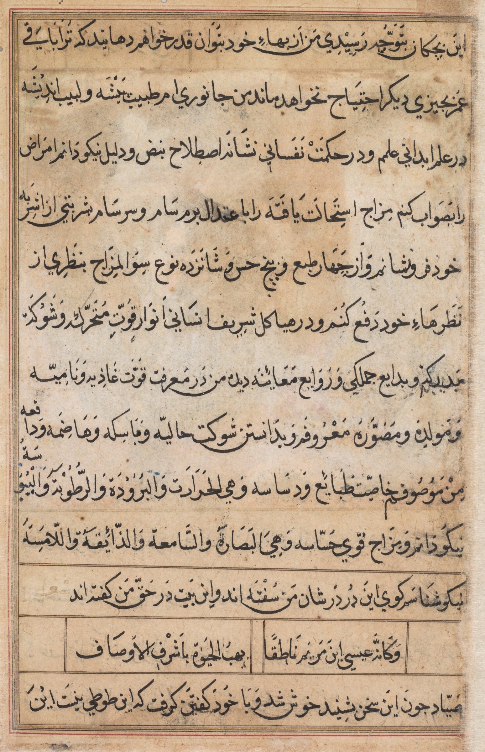 Page from Tales of a Parrot (Tuti-nama): text page — 1560