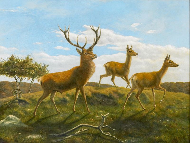 Landscape with a red deer stag and two hinds.