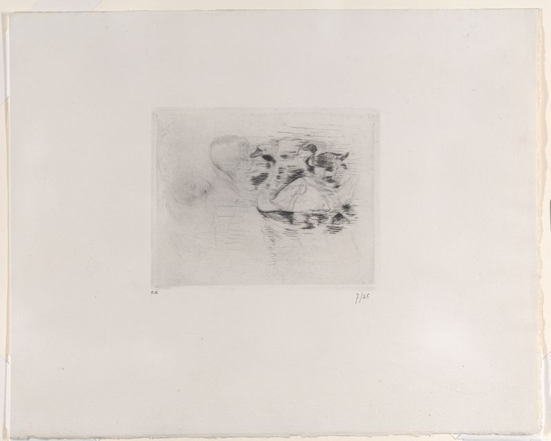Swan and Duck, with Portraits of Julie