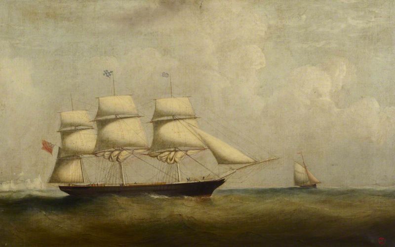 The tea clipper Medina