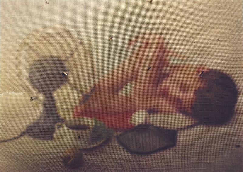 Summer Sleep, New York