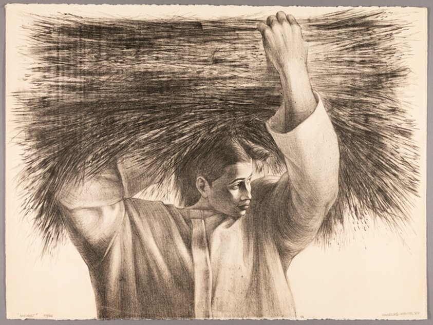 Harvest by Charles White
