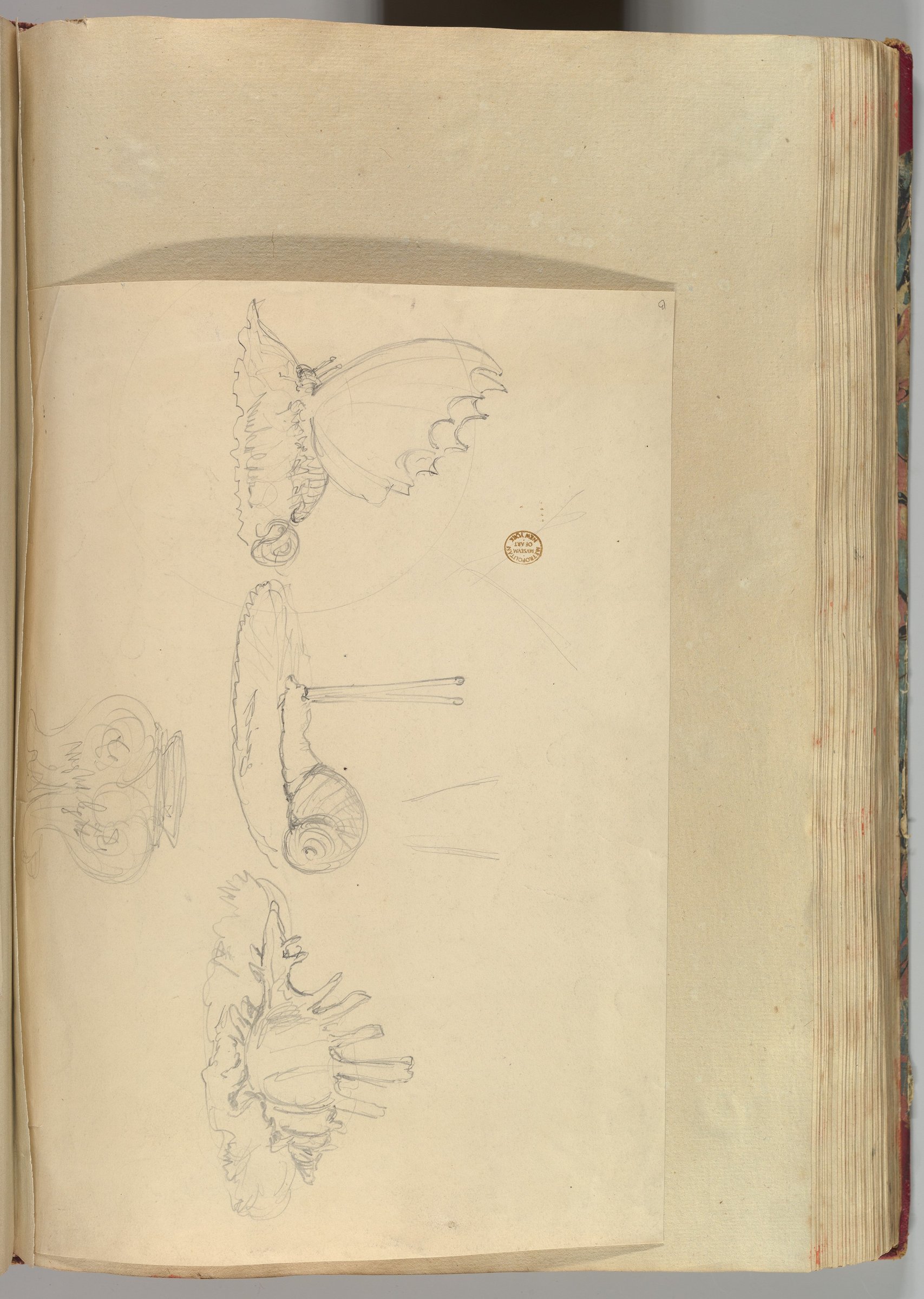 Sketches of Butterfly Pen-holder, a Shell Pen-holder and Snail Ring-holder, and a Vase by Samuel Alcock & Company